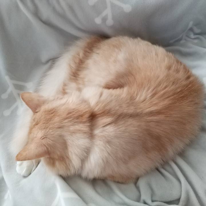 9923b686 90ca 48b6 8dd8 5ae61cfd2515 1637995469129