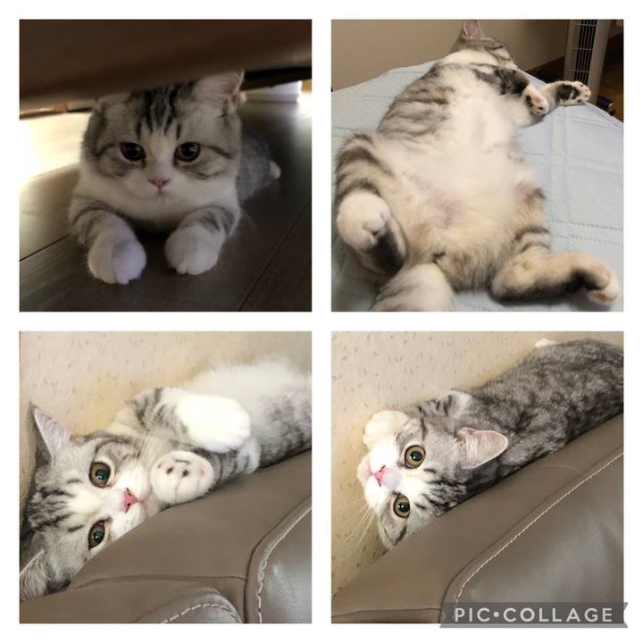 9924054f 6439 4e20 8ed6 a85d302e076c 1694693508752