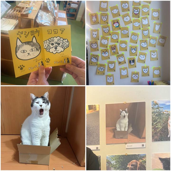 9924180f 5fc3 458b 9171 e4cbc5738499 1765268042928