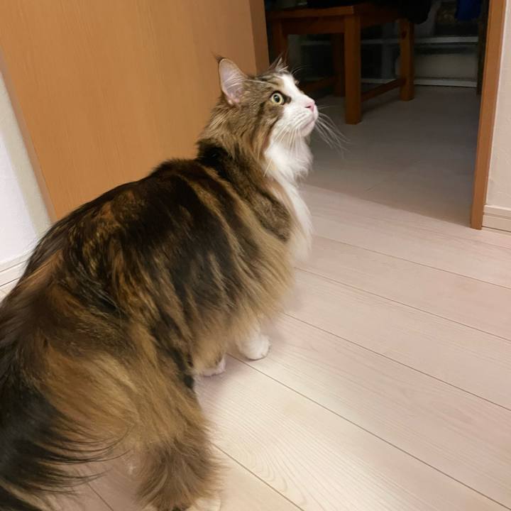 9924b8b7 9d07 4284 875c a37a6fea3ce3 1685132956891