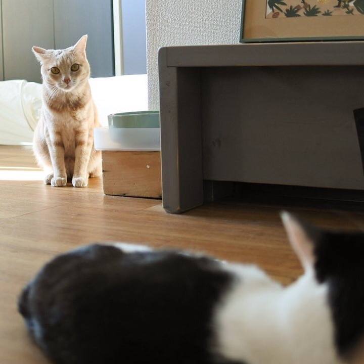 992517e2 0c4a 4e99 b0c2 f6a58ae0fd38 1603788836560