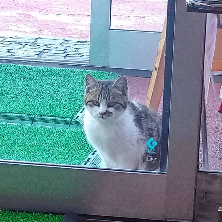 992518d1 fb3f 4ee8 a9f8 d1ad1a474d41 1645028144517