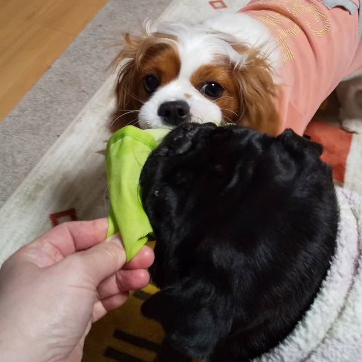 99252300 82e9 4050 b224 c98b0a5caa5b 1584113951789