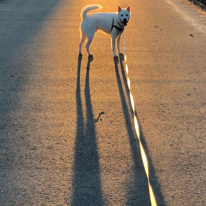 992523d0 a966 415d 86b0 ad9bb1fb10be 1598649104572