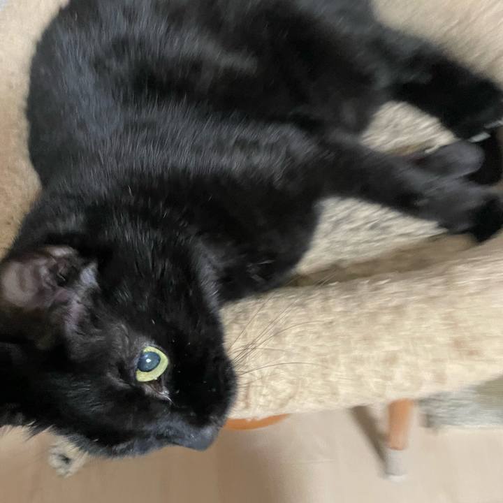 99257587 ddeb 49bb be41 244b95612e63 1746533111788