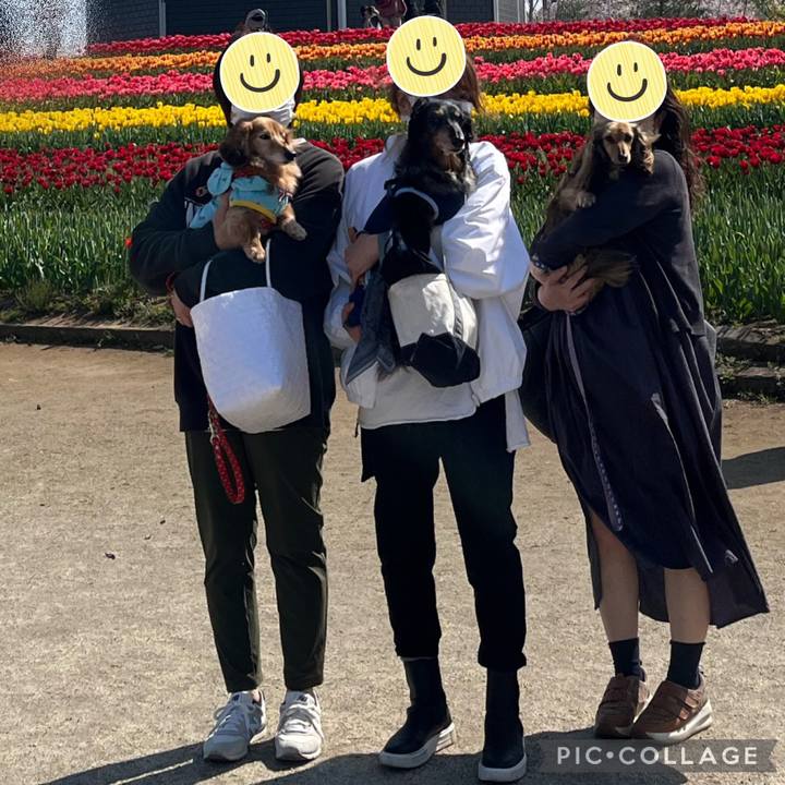 99257661 b86d 454d b7c2 287f200f4f95 1680358779510