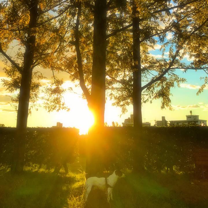 992578e9 f687 4e4c 9466 bbf88e8c00f5 1508924826069