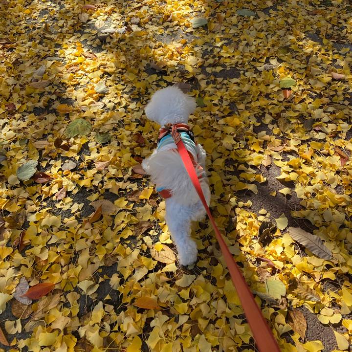 9925a1b3 99c6 46b3 bec3 86af92cea94e 1764391902191