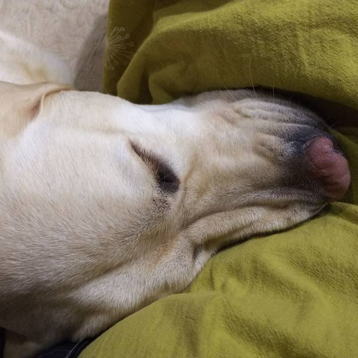 9925bf2b 4df1 41c7 9c46 739a9ea017da 1540897254950