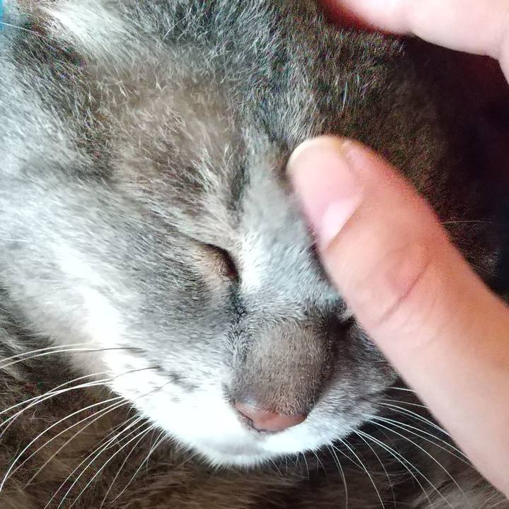 9925f559 b5b7 4627 943c 1c66f2750bed 1633840807511