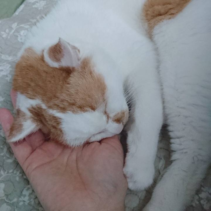 99262515 53c3 4cd1 855a ea2e12b2ca17 1659176527954