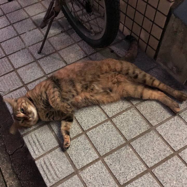 992659f1 369a 4496 bda8 7c65831626e0 1629724449083