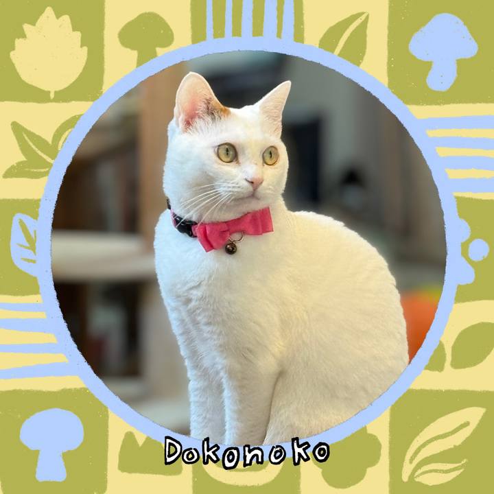 9926bb69 ca8a 4e20 a3c3 415d7ac734ea 1761459760937