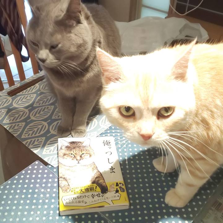 9926de23 fd05 4d30 bf64 d1a4e62cf42b 1558424838461