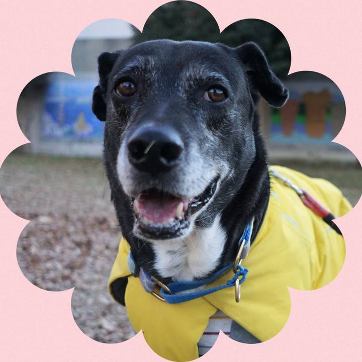 9926e922 d5a4 4e8b a5b2 05c42976c5e8 1768350367732