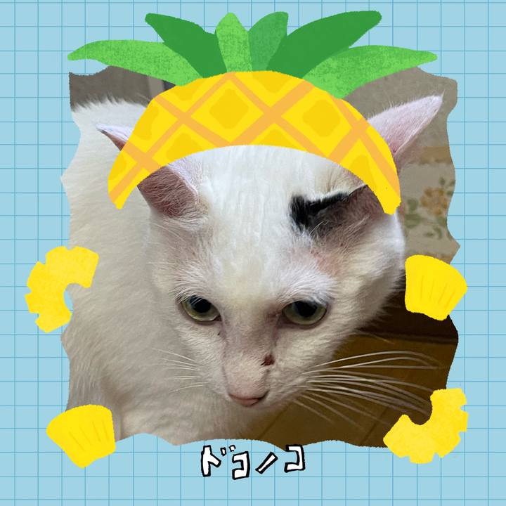 99275216 6f48 4920 bf90 2b2be13a3e1d 1783551079244