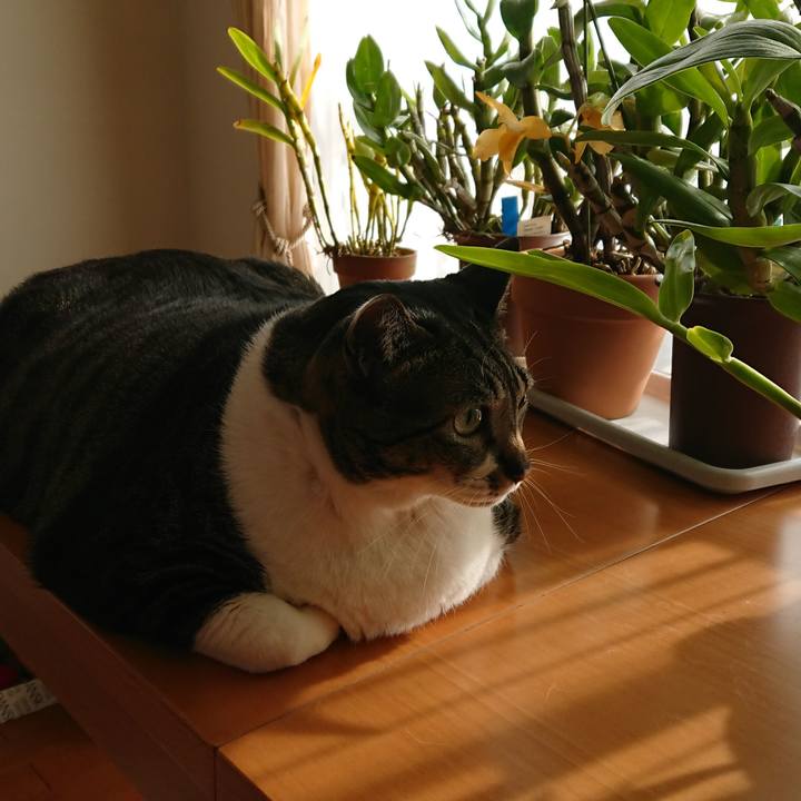 992754e6 9d6b 4fcd a66c de7c98b455bb 1520120635418