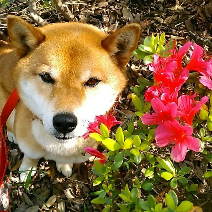 99275b69 8356 4dad 9439 d896611a25f4 1555985099415