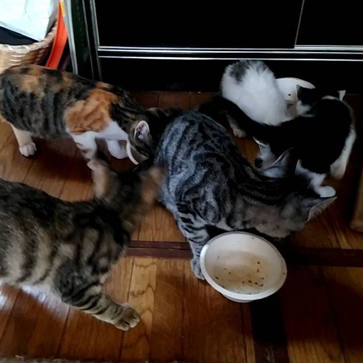 99279863 e07c 4087 8dbb 1536f5ec039c 1696416280762