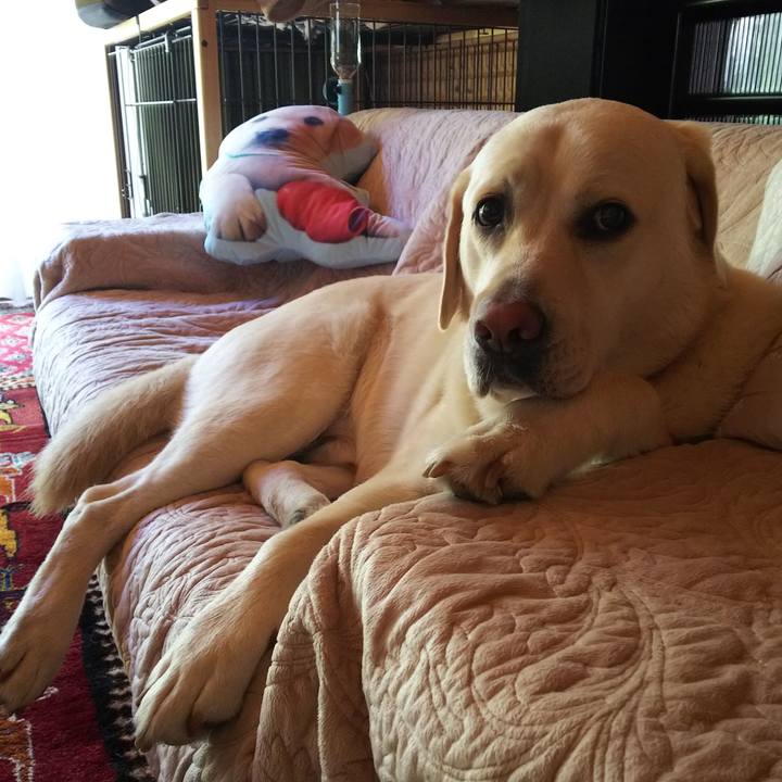 99279e51 1af7 4f05 a37f 0bfb411b6721 1560666541096