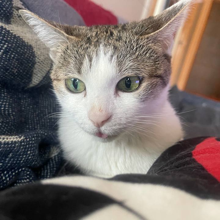 9927c2b6 72d4 425a 9165 9bdae3238d0e 1627355000816