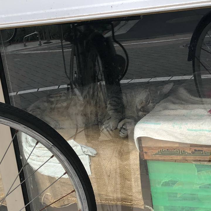 9927ce8e 8c57 413c 8e7c 04c595334a3f 1594309171361