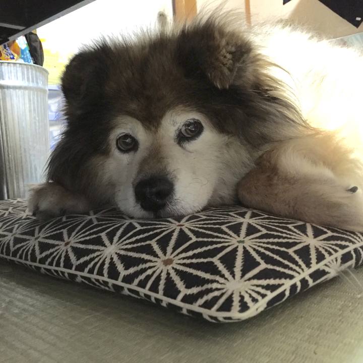 9927eaa6 7fb5 41b1 b6bb c2af3efa8688 1549793490398