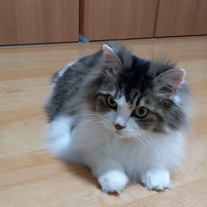 99281561 bb88 494f 9872 eb2b3a28e508 1653945663536