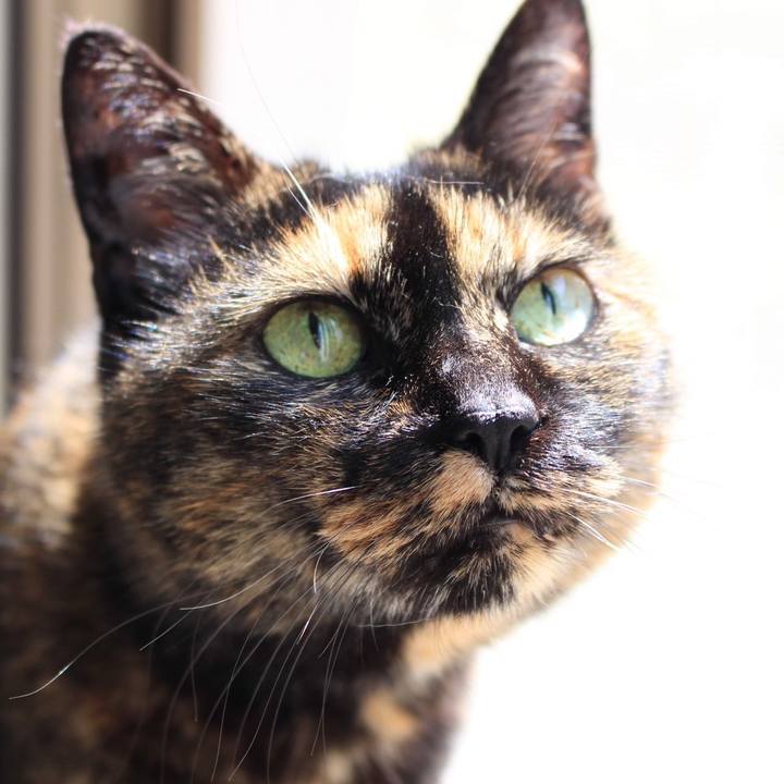 9928202f d7c6 4a51 8dea 1d8f15645018 1682478180323