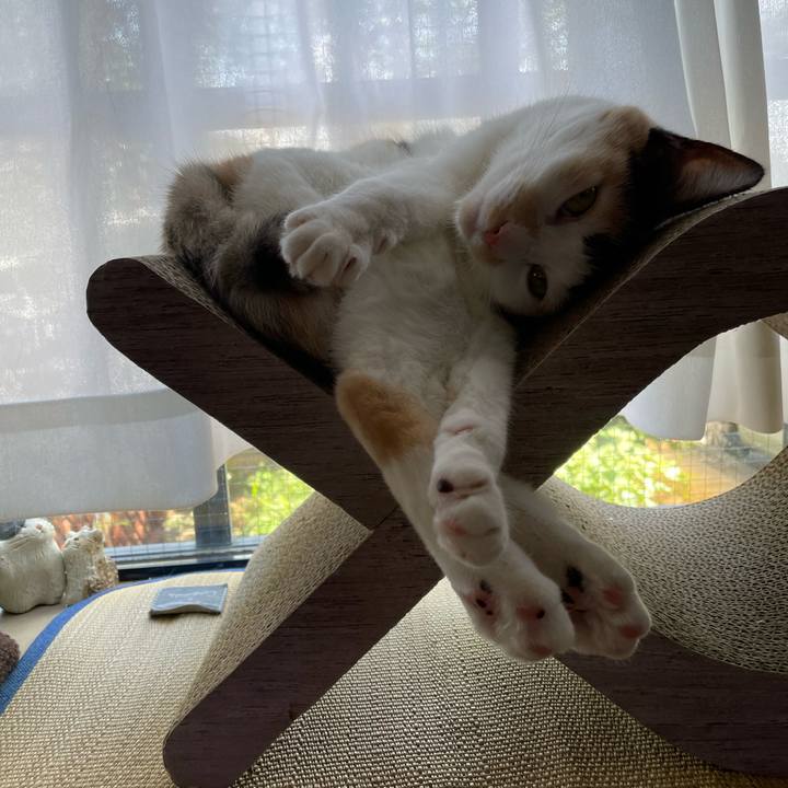 9928445a 107e 47b3 a6dd 61562d3d71c1 1692590178320