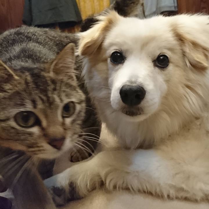 992886ec e75f 4268 af46 a7a72a32966e 1556449889695