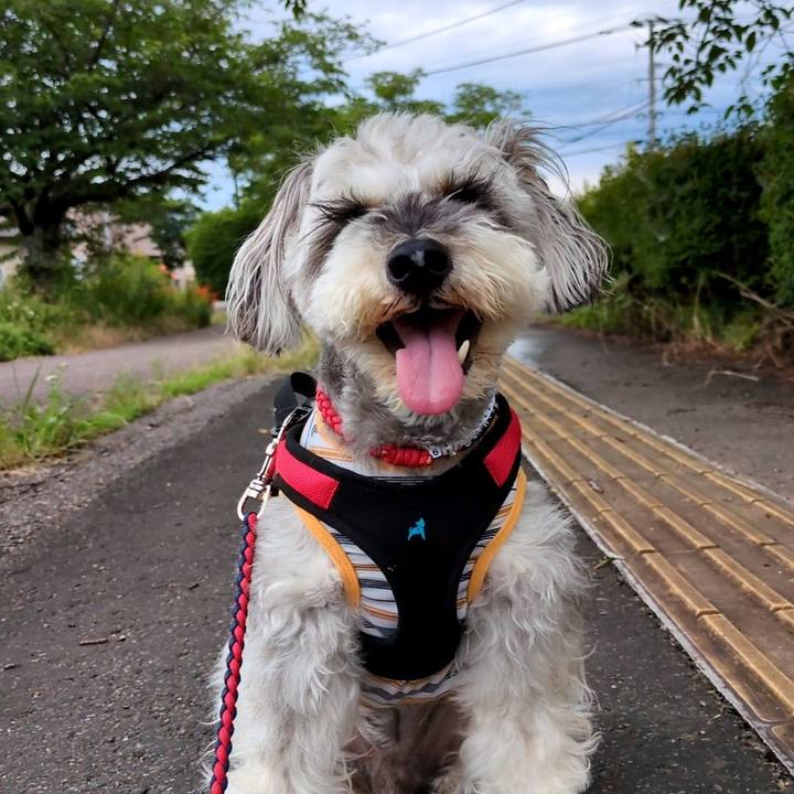 992888cb 676d 4414 997f f4f38941f5a3 1750854229743