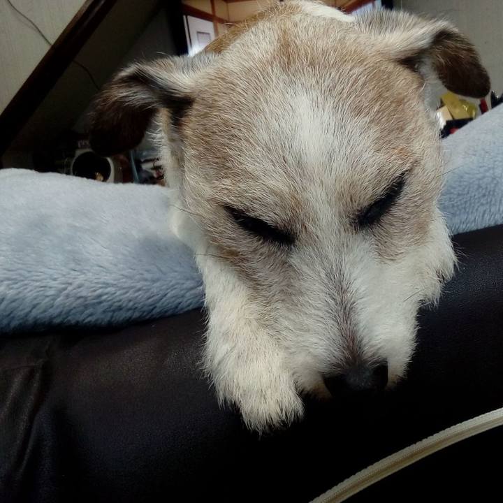 9928b817 4d82 4f1f 9de1 bd5faf11cf4f 1618742945356