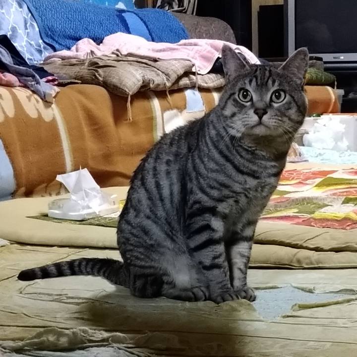 9928bfc2 5056 4c3c 90dd 4b80ea10e022 1668344379868