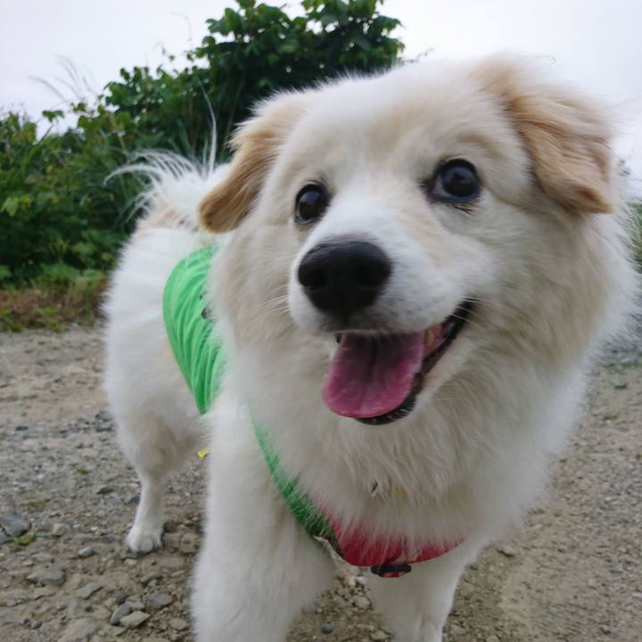 9928db61 3bbe 474c a745 6768d1eefd05 1529358567582