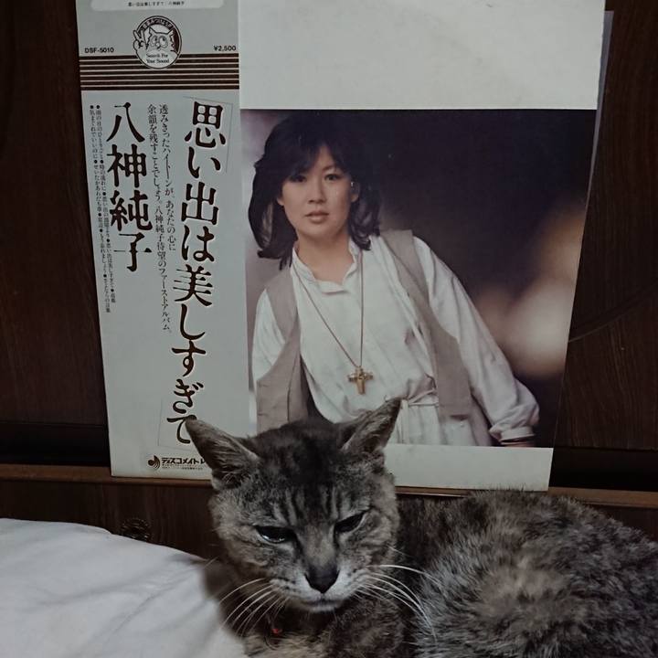 9928e47c b466 4e84 b052 4a303a360273 1591878205078