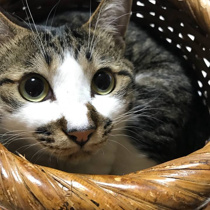 9928ef65 2e25 4491 9d36 a3720fb12725 1510973934945