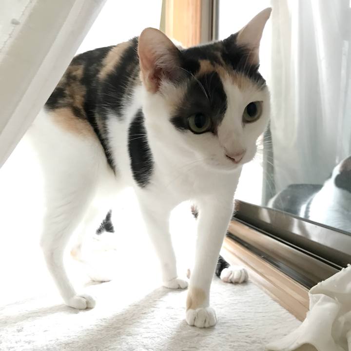 9928f1b7 0dbc 4db9 a594 10ccfd0ccb23 1536937223682