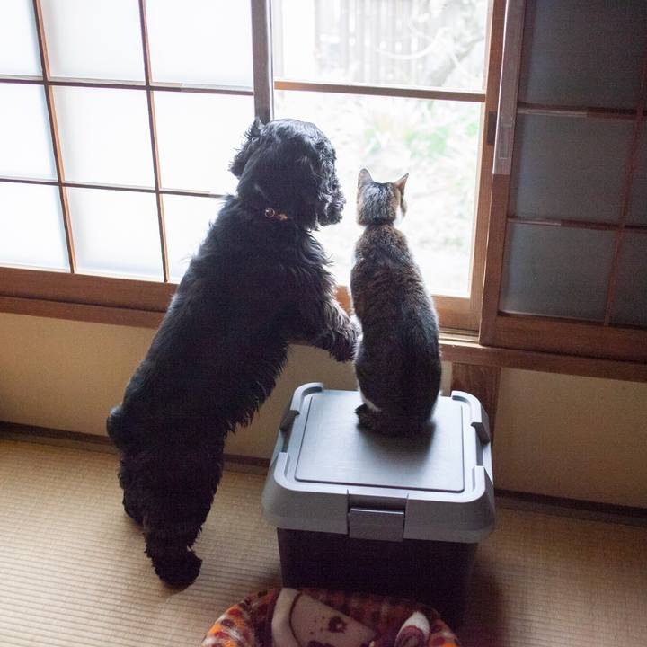 99291c7d 56cd 42ed b48c b5cedf3a8ed8 1552358294137