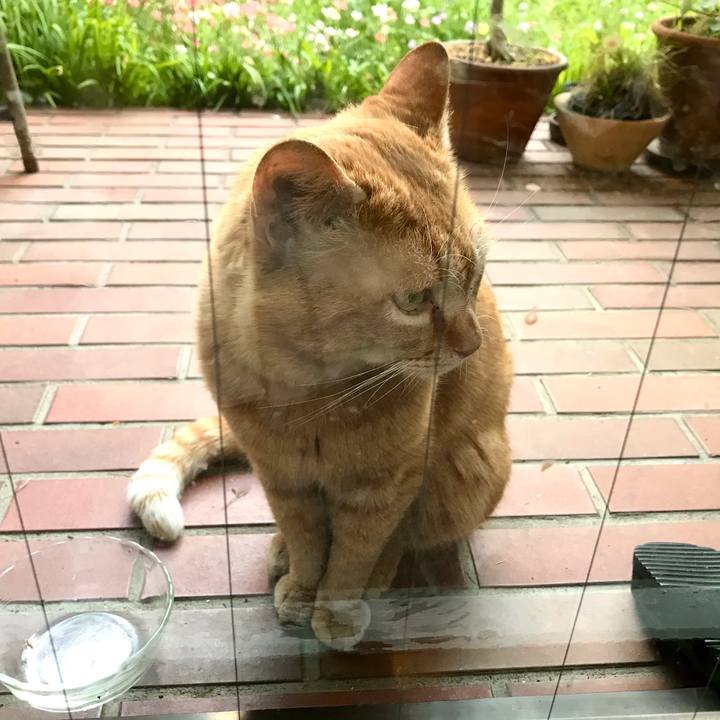 99296ce1 8a07 4b24 ad07 5fbdc205b4d4 1620638301777