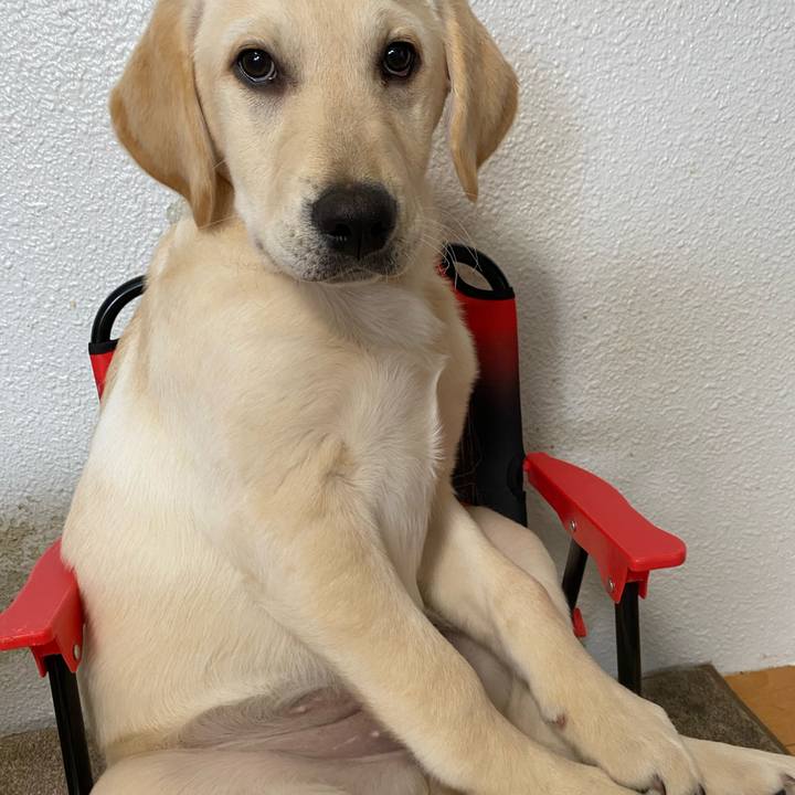 9929c42e dddd 492f 81d2 5bdcda23531a 1615762372836