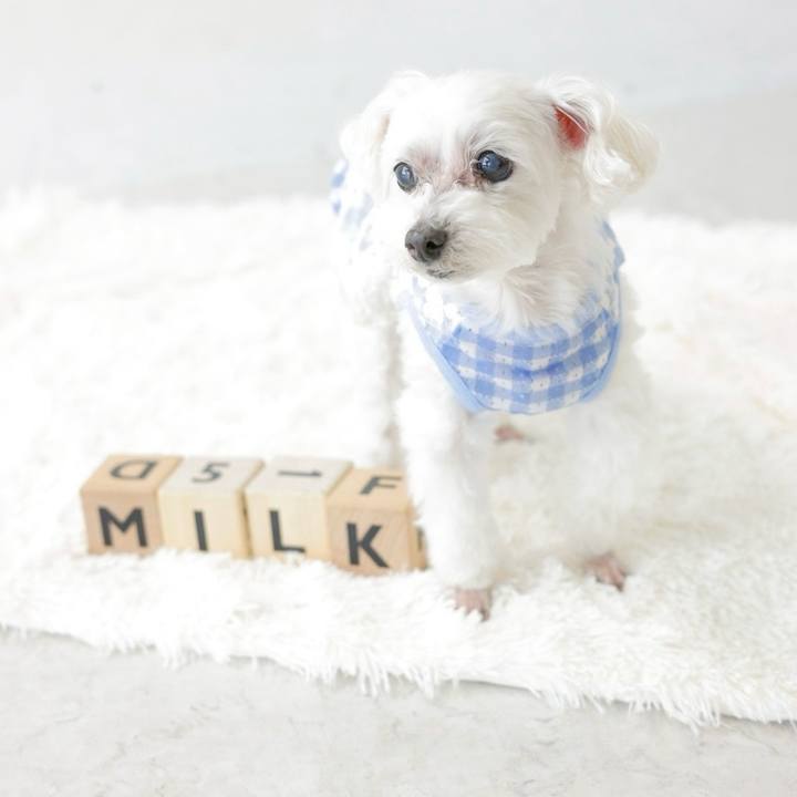 9929eaf9 8d92 403d 8ff4 c1e0e5ee56c2 1768269276500