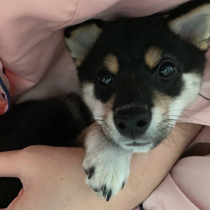 992a2e22 6c9b 49b5 90a5 3575a8be413f 1555116199398