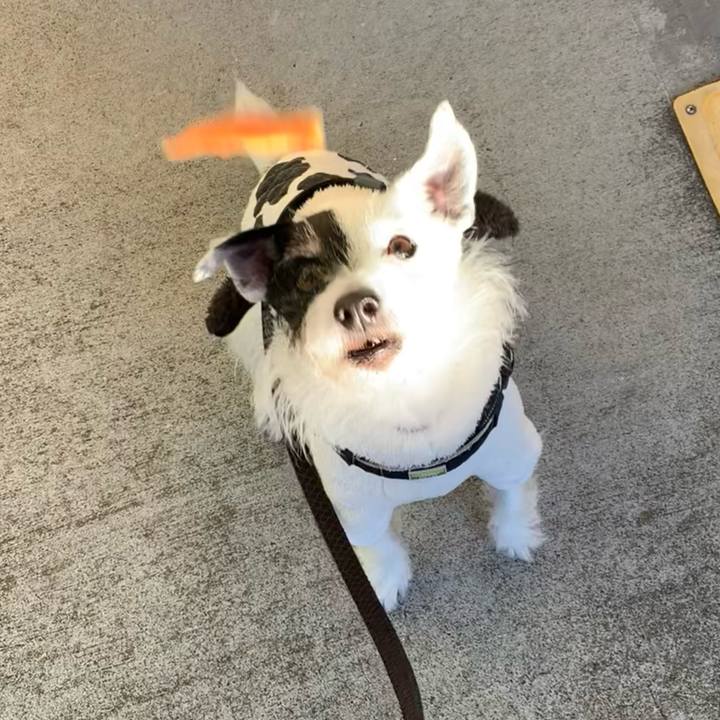 992a5193 2951 4b82 b4e3 489cd43a6330 1733441052393