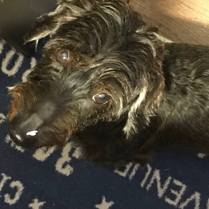 992a5653 808e 4831 9178 4e66917f6af3 1538480861925