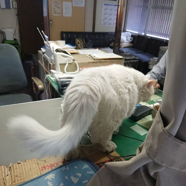 992a7930 2b33 4e42 b0b1 d2d31b731077 1570058709476