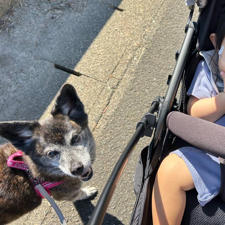 992ab264 18ac 427d 9f7d 7cb3924e6acc 1734056157643