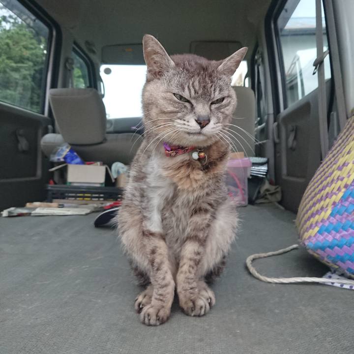 992ac64a c7db 489d a7a4 9fa0c1a12b3e 1593202931556