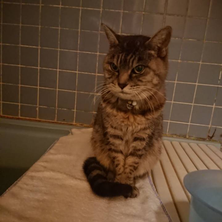 992b0397 e9a8 4edc a637 055d57b23665 1574415176225