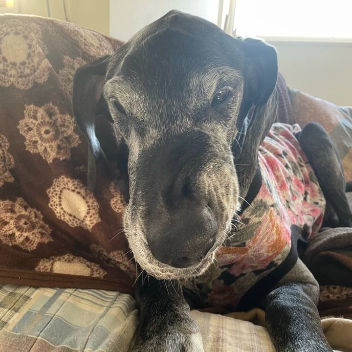 992b1755 9661 4d97 bb4b 8d1973140eb8 1645050808448